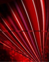 backdrops-vol300017