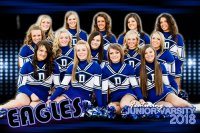 cheer poster